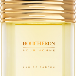 Boucheron Pour Homme Eau de Toilette 100 ml Boucheron Pour Homme Eau de Toilette 100 ml