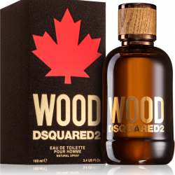 Dsquared2 Wood Pour Homme Eau de Toilette 100 ml