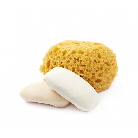 Spugna di mare naturale Spugna di mare naturale