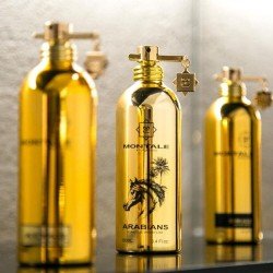 Montale Paris Arabians Eau de Parfum 100 ml Montale Paris Arabians Eau de Parfum 100 ml