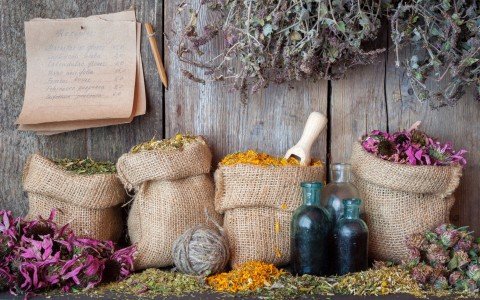 Tendenze emergenti nel mercato delle erbe officinali all'ingrosso, analisi e previsioni Tendenze emergenti nel mercato delle erbe officinali all'ingrosso, analisi e previsioni