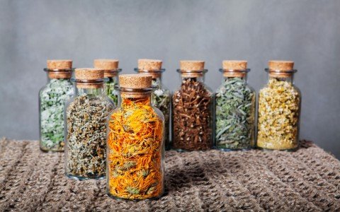 Consigli erboristici per la salute mentale: rimedi naturali per il benessere Consigli erboristici per la salute mentale: rimedi naturali per il benessere