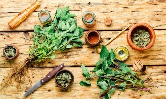 Sfruttare il potenziale delle erbe officinali in cucina: piatti deliziosi e salutari