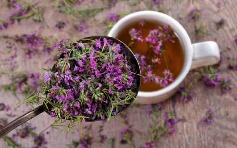 Erba erica: usi, proprietà e guida alla coltivazione - erbologica Erba erica: usi, proprietà e guida alla coltivazione - erbologica