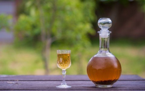 Liquore con erba ruta: ricetta tradizionale fatta in casa Liquore con erba ruta: ricetta tradizionale fatta in casa