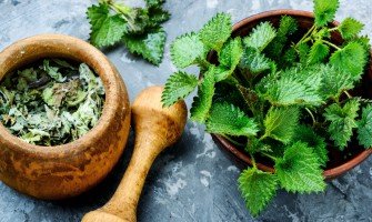 Ortica: proprietà benefiche, utilizzi e impatti sulla salute