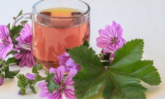 Benefici e preparazione della tisana di fiori di malva un rimedio naturale per il benessere