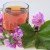 Benefici e preparazione della tisana di fiori di malva un rimedio naturale per il benessere
