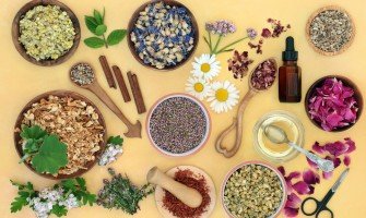 Il segreto del benessere naturale: scopri erbe officinali, tisane e tè