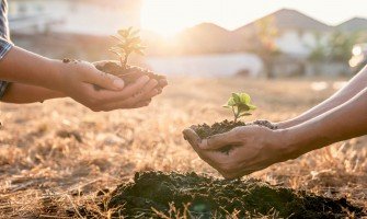 Vivere verde: integrare il benessere personale con la sostenibilità | erbologica