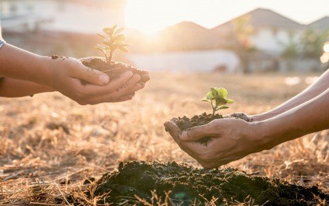 Vivere verde: integrare il benessere personale con la sostenibilità | erbologica Vivere verde: integrare il benessere personale con la sostenibilità | erbologica