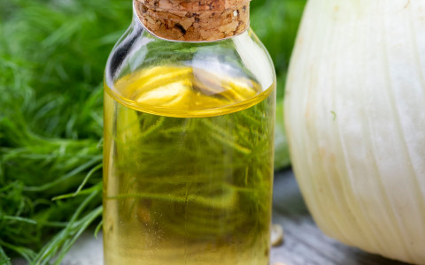 Come fare il liquore al finocchietto Come fare il liquore al finocchietto