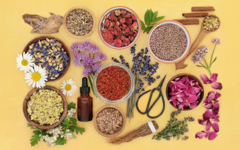 Digestione lenta le piante che aiutano Digestione lenta le piante che aiutano