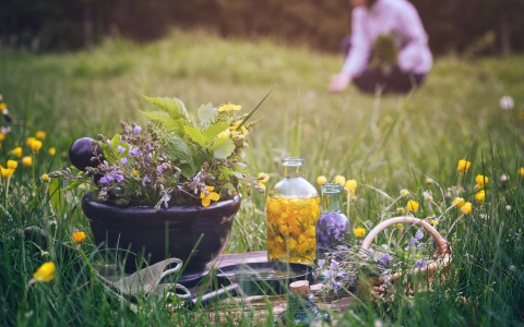 erbe anti stress per affrontare il caldo estivo erbe anti stress per affrontare il caldo estivo