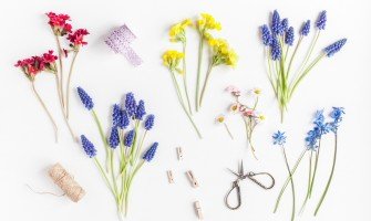 Scoperta primaverile: erbe officinali, ricette e segreti per il benessere