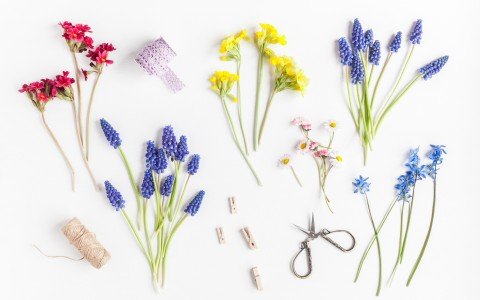 Scoperta primaverile: erbe officinali, ricette e segreti per il benessere Scoperta primaverile: erbe officinali, ricette e segreti per il benessere