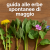 Erbe spontanee di maggio