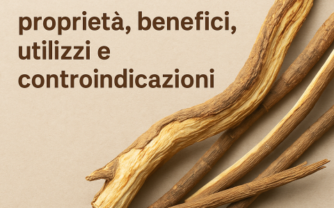 Muira Puama: proprietà, benefici e usi della pianta afrodisiaca Muira Puama: proprietà, benefici e usi della pianta afrodisiaca