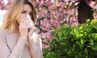 Rimedi naturali contro le allergie
