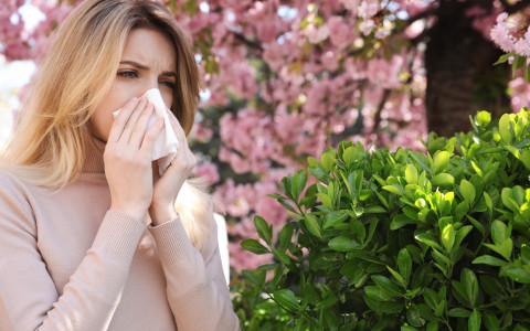 Rimedi naturali contro le allergie Rimedi naturali contro le allergie