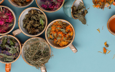 Erbe per la pelle: tisane e decotti per un benessere che si vede Erbe per la pelle: tisane e decotti per un benessere che si vede