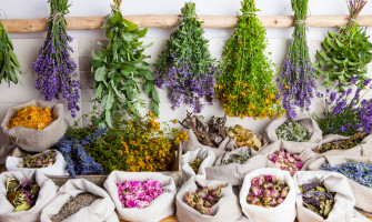 Come essiccare le erbe medicinali in casa: guida pratica completa