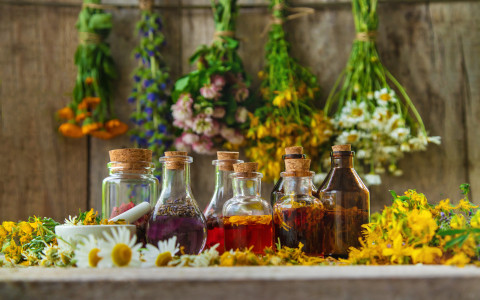 Grappe, amari e distillati con erbe officinali: guida alla tradizione casalinga Grappe, amari e distillati con erbe officinali: guida alla tradizione casalinga