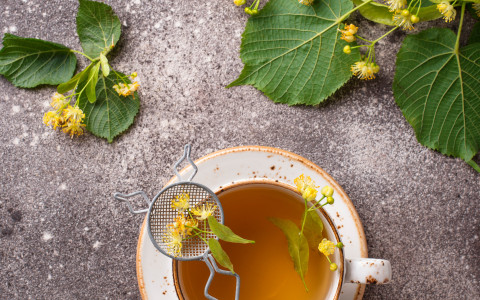 Infuso depurativo con betulla e ortica: proprietà e ricetta