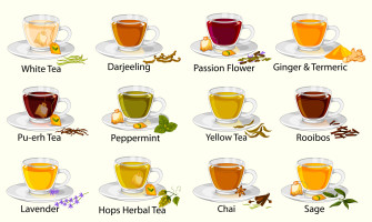 Differenza tra tisane, infusi e decotti: la guida completa