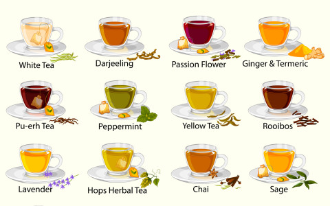 Differenza tra tisane, infusi e decotti: la guida completa Differenza tra tisane, infusi e decotti: la guida completa