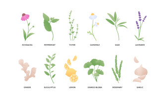 Le migliori erbe per affrontare i cambi di stagione