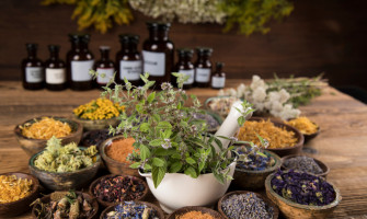 Erbe officinali e digiuno intermittente: quali piante aiutano davvero