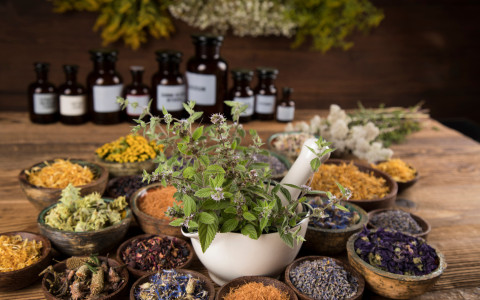 Erbe officinali e digiuno intermittente: quali piante aiutano davvero Erbe officinali e digiuno intermittente: quali piante aiutano davvero