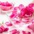 acqua di rose benefici, proprietà per la pelle del viso e beauty routine
