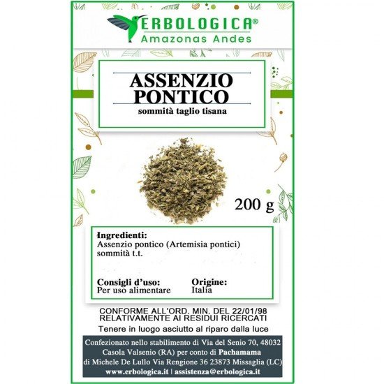 Assenzio pontico sommità tisana Assenzio pontico sommità tisana