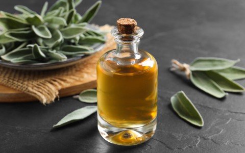 Come fare liquore alla salvia - ricetta facile per un digestivo profumato e aromatico Come fare liquore alla salvia - ricetta facile per un digestivo profumato e aromatico