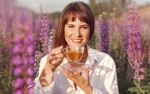 l’uso delle erbe medicinali nella prevenzione dei malanni stagionali - preparati per l'inverno con erbologica l’uso delle erbe medicinali nella prevenzione dei malanni stagionali - preparati per l'inverno con erbologica