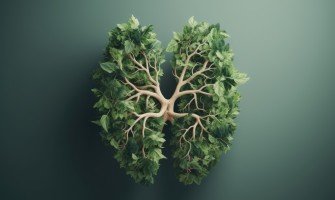 Depurare e curare i reni con rimedi naturali