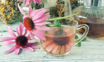 Tisana all'echinacea: Scopri i suoi benefici e i suoi usi