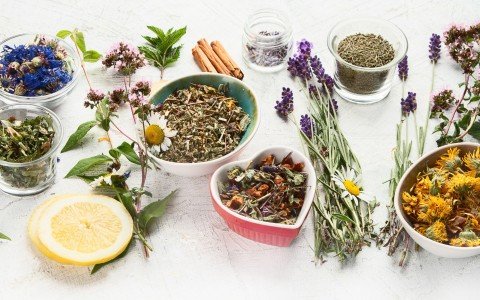 Guarire l'acne rosacea in modo naturale, le meraviglie delle erbe medicinali Guarire l'acne rosacea in modo naturale, le meraviglie delle erbe medicinali