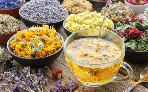 Disintossicarsi dopo le vacanze scoprite il potere curativo delle erbe medicinali per il vostro corpo Disintossicarsi dopo le vacanze scoprite il potere curativo delle erbe medicinali per il vostro corpo