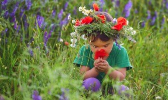 Erbe medicinali per la salute dei bambini