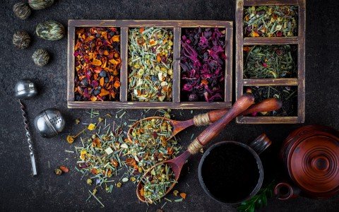 Erbe officinali un approccio naturale contro l'ansia Erbe officinali un approccio naturale contro l'ansia