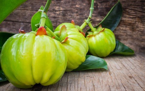 Garcinia Cambogia un potente integratore per la perdita di peso Garcinia Cambogia un potente integratore per la perdita di peso