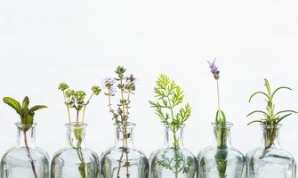 Grappe aromatiche per l'estate: le migliori erbe da utilizzare