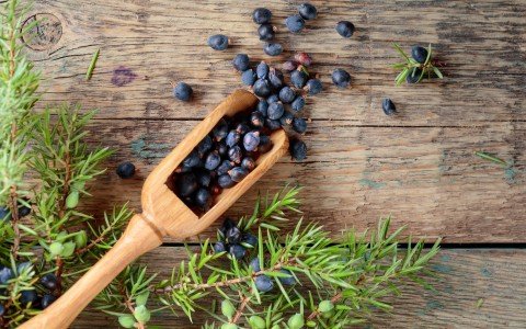 L'arte di preparare il liquore di ginepro alpino: Guida passo passo alla preparazione L'arte di preparare il liquore di ginepro alpino: Guida passo passo alla preparazione