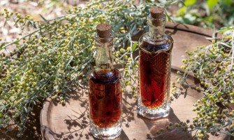 Il liquore di artemisia perfetto, la ricetta passo dopo passo