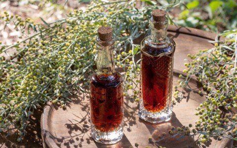 Il liquore di artemisia perfetto, la ricetta passo dopo passo Il liquore di artemisia perfetto, la ricetta passo dopo passo