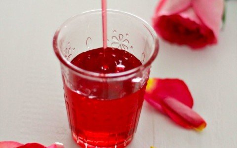 La ricetta del rosolio perfetto, guida passo passo al liquore fatto in casa La ricetta del rosolio perfetto, guida passo passo al liquore fatto in casa