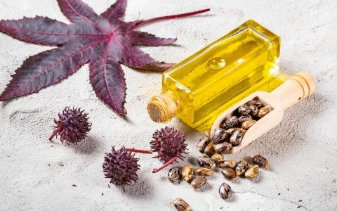 Olio di ricino: proprietà e a cosa serve Olio di ricino: proprietà e a cosa serve